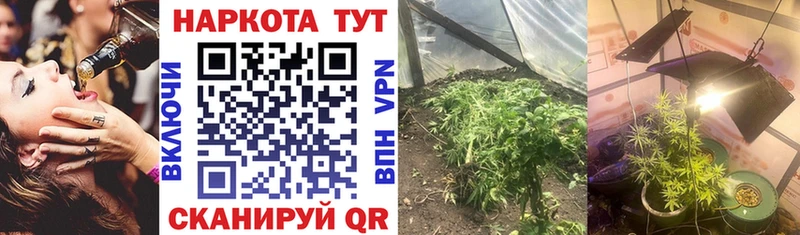 Где можно купить наркотики Новый Оскол Галлюциногенные грибы  Мефедрон  МАРИХУАНА  АМФ 