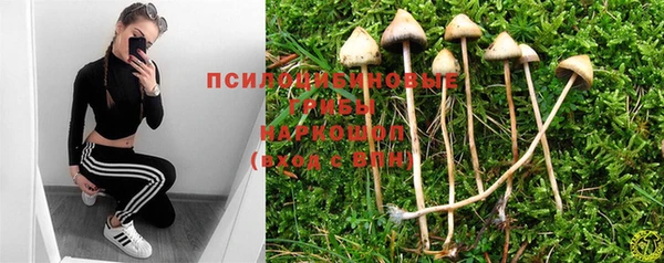 ГАЛЛЮЦИНОГЕННЫЕ ГРИБЫ Баксан