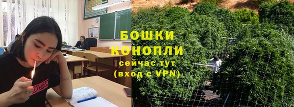 ГАЛЛЮЦИНОГЕННЫЕ ГРИБЫ Баксан
